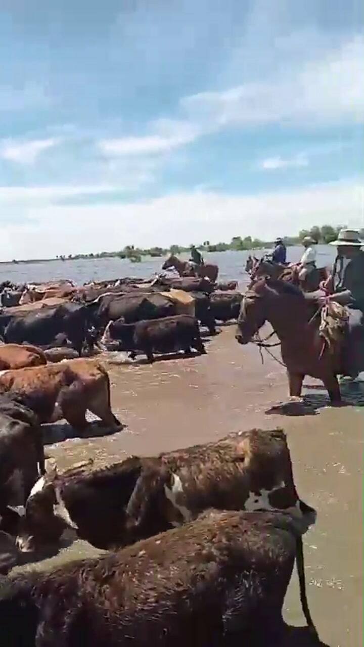 Productores trasladan la haciendo por anegaciones