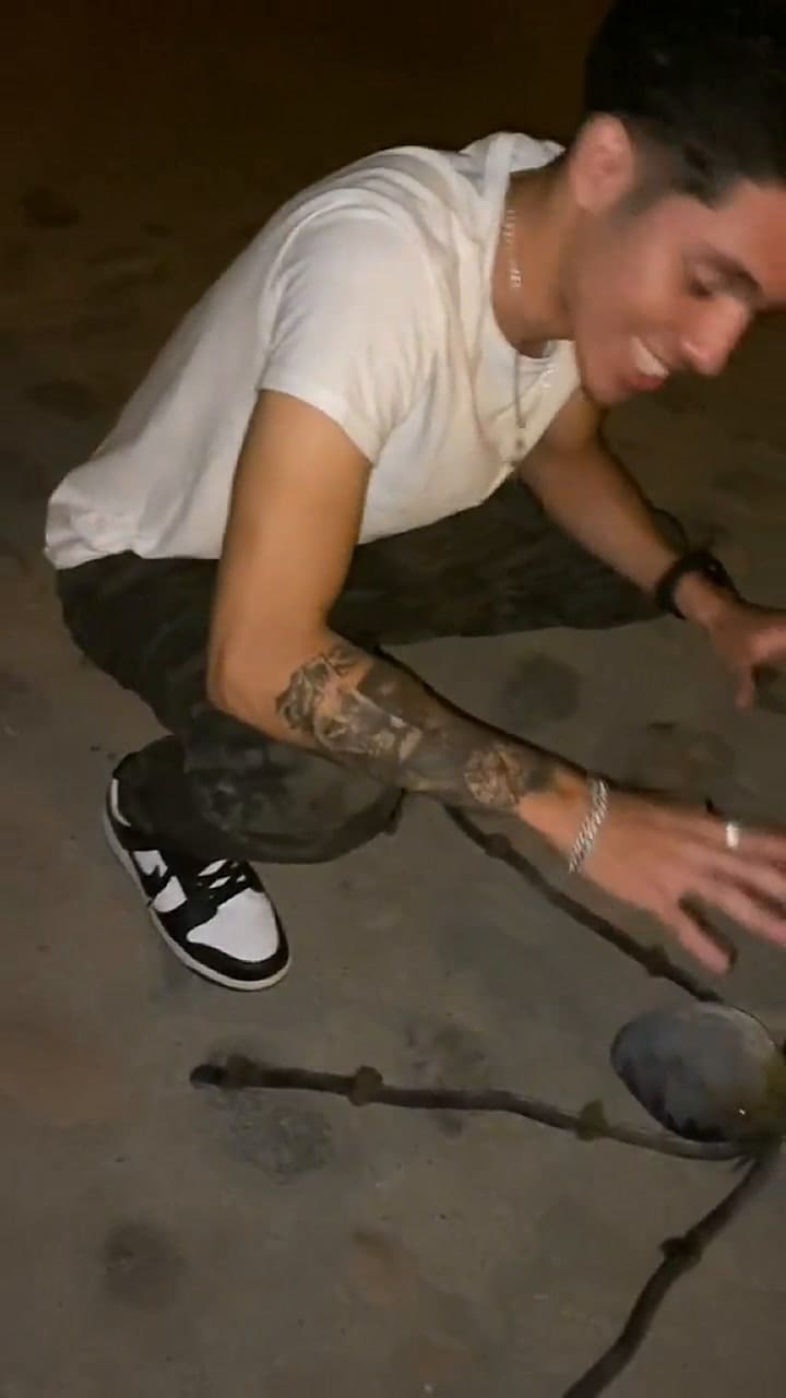 Viral: araña hecha de coco saca varios sustos en TikTok