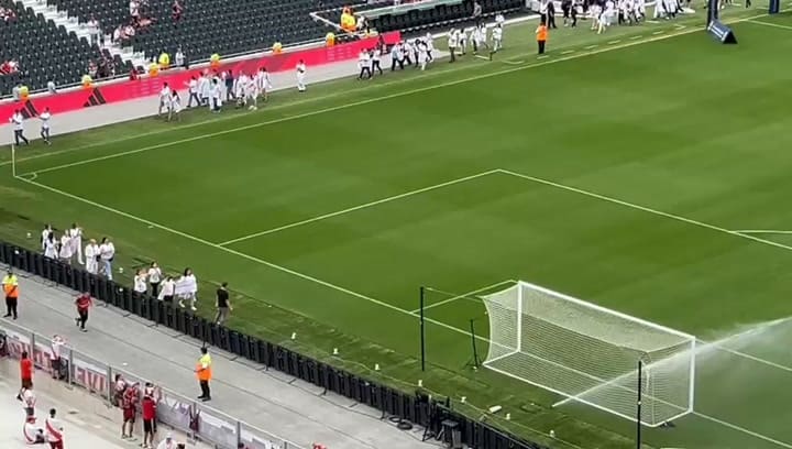 Trabajadores del hospital Garrahan en River