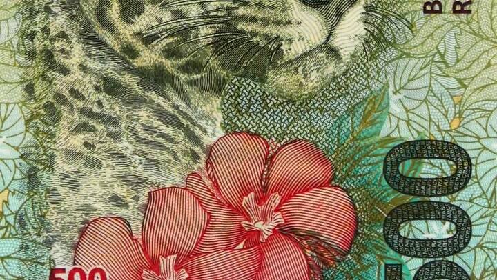 Características del billete de 500 pesos