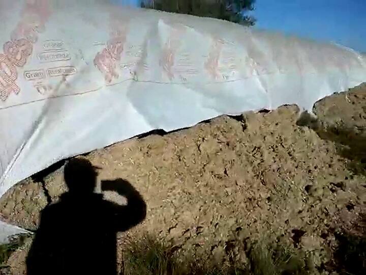 Continúan los ataques a silobolsas