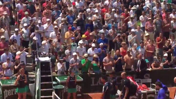 El gesto de Del Potro que le valió los aplausos en París