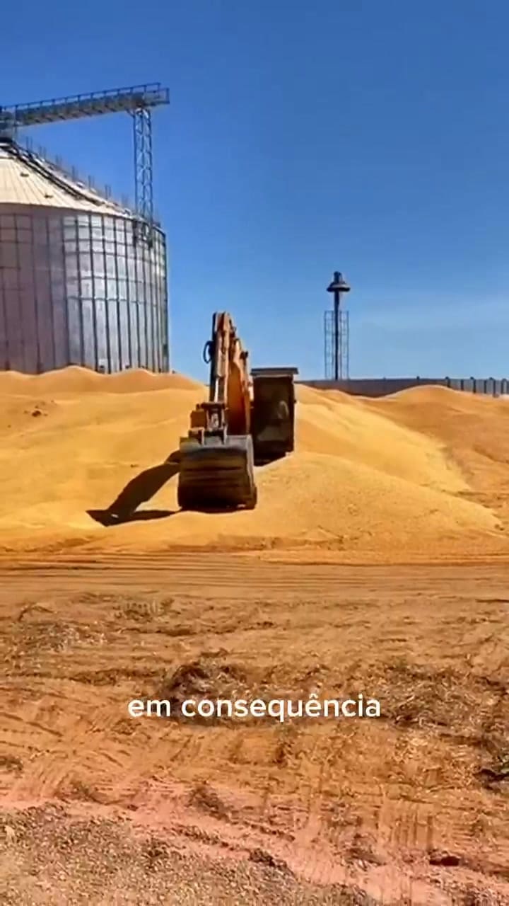 El supercosechón de Brasil quedó reflejado en un video que se hizo viral
