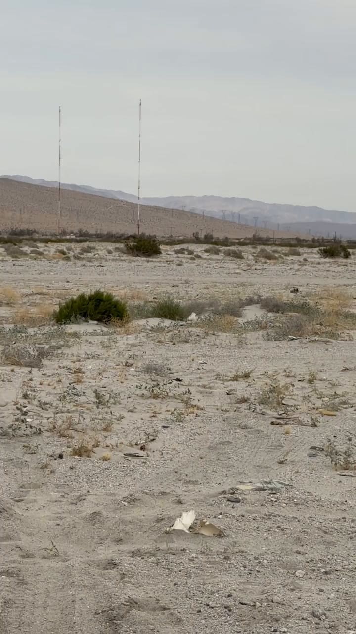 El TSA Detuvo A Un Marine Con Explosivos Activos