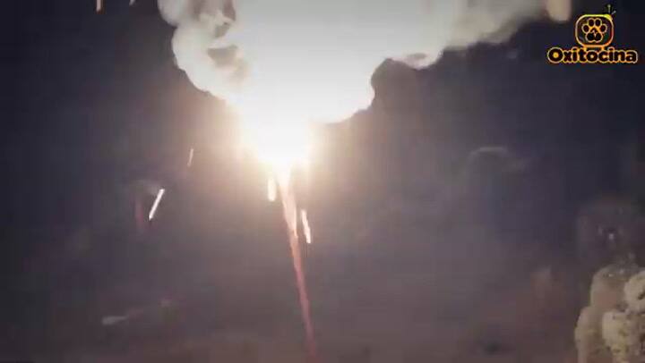 Los animales y fuegos artificiales