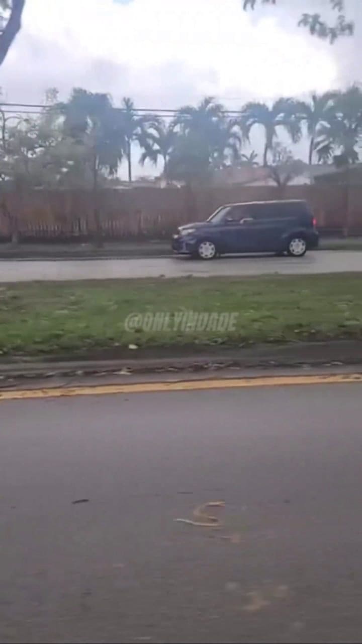 Los daños que causaron los fuertes vientos y la tormenta en el sur de Florida