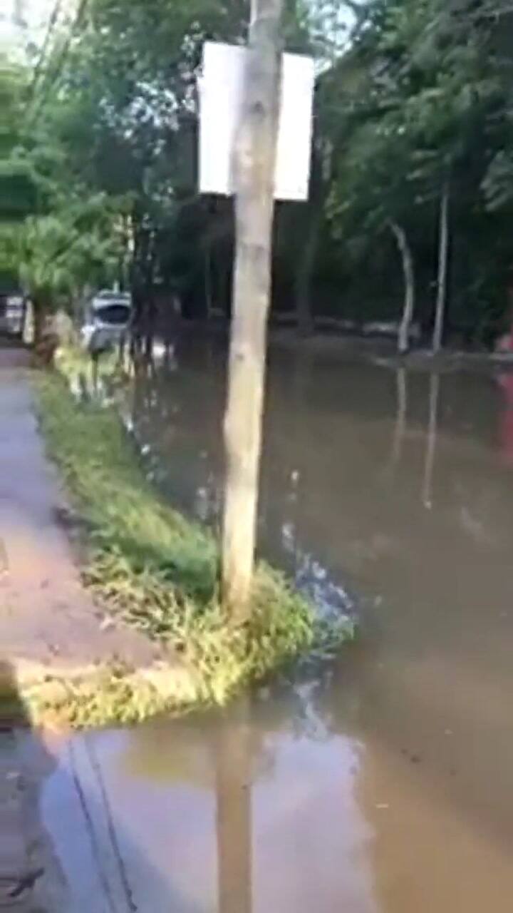 Las calles de Tigre y alrededores están inundadas por la sudestada