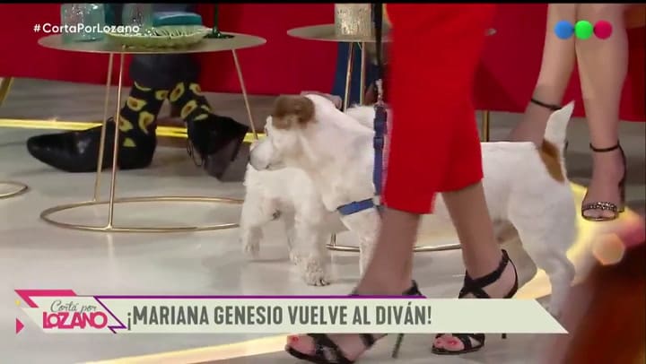 Mariana Genesio, tras su separación: 'Estoy un poquito triste y deprimida' - Fuente: Telefe