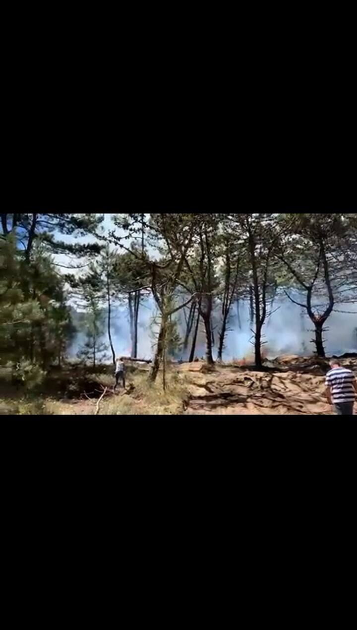 Incencio en el bosque de Pinamar cerca de La Herradura