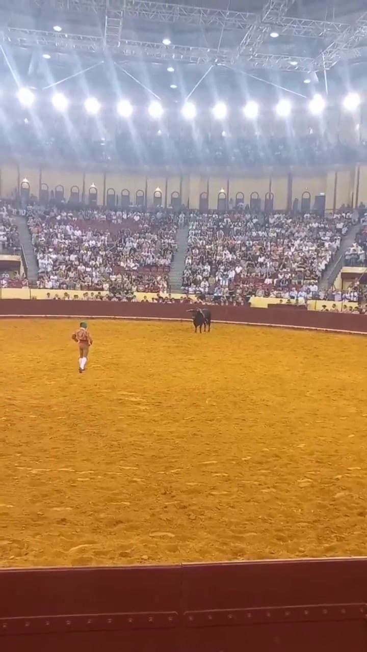 Murió un torero de 22 años tras ser embestido por un toro de 700 kilogramos
