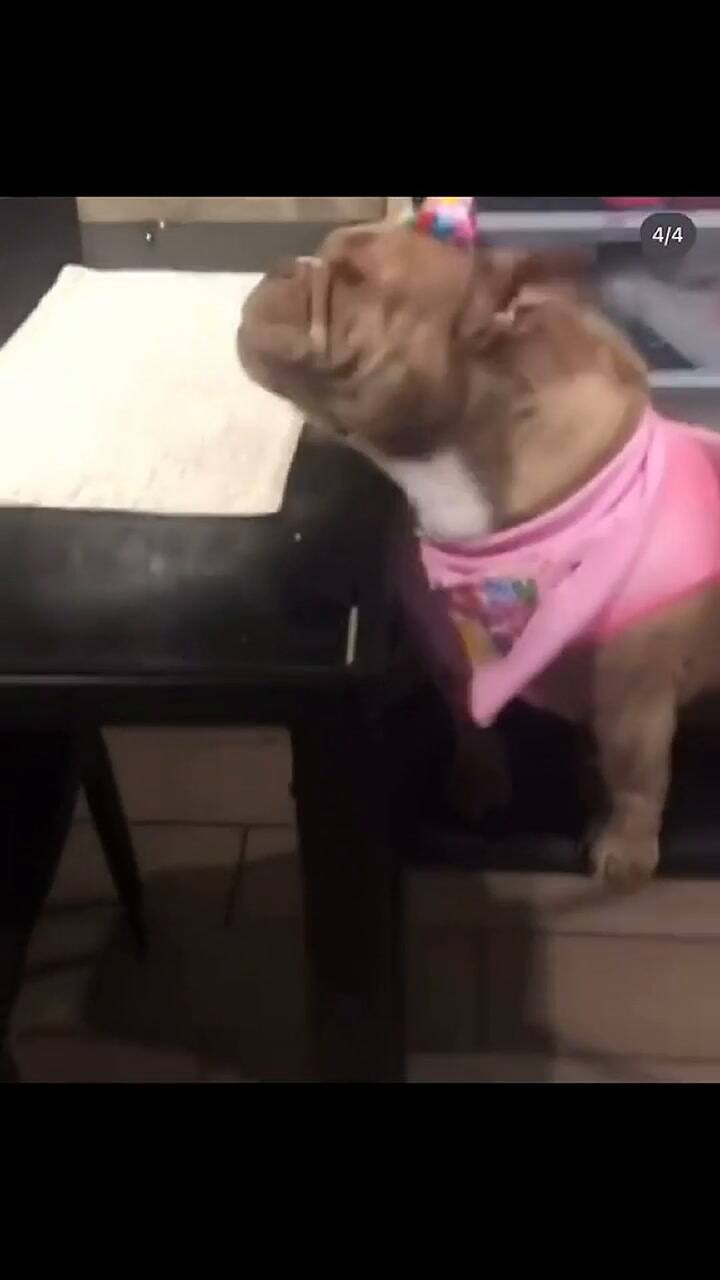 Fendi celebró su cumpleaños rodeada de amigos