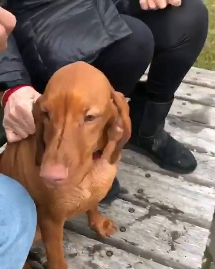 Susana y su perra Rita, en otro video viral - Fuente: Instagram