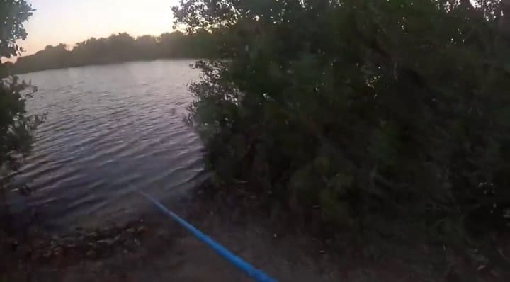 Aterrador: pescaba tranquilamente y lo empezó a perseguir un cocodrilo