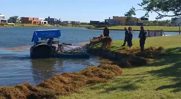 Las tareas de búsqueda de Guido Orlando, desaparecido en la laguna de Puertos de Escobar