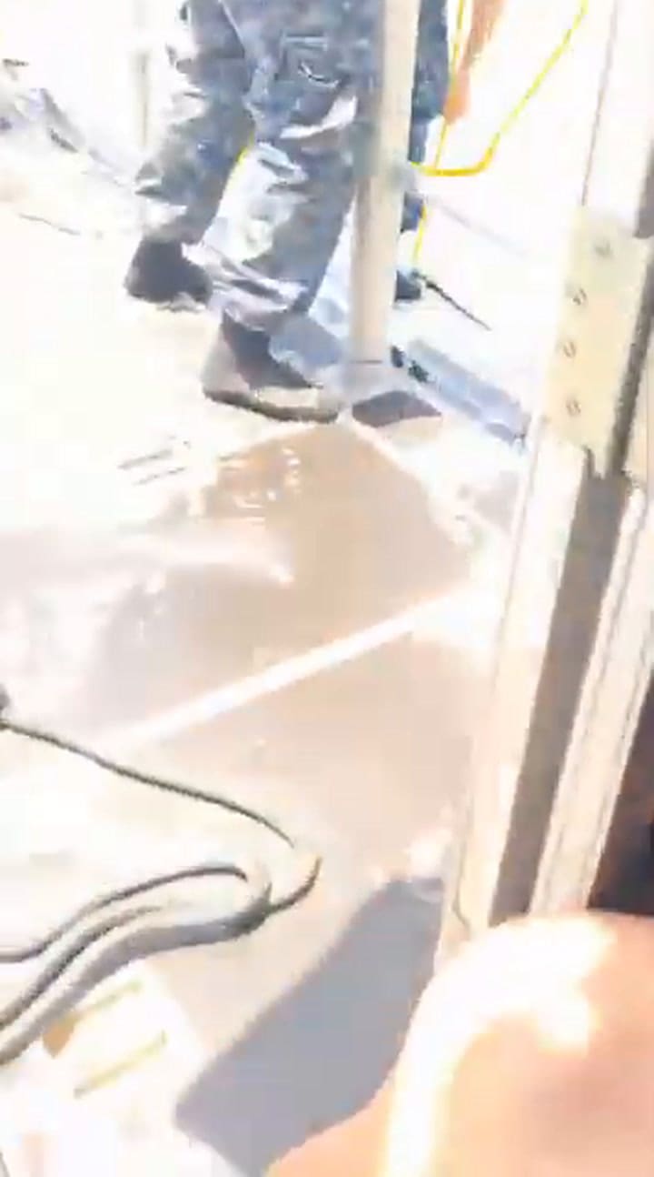 El momento en que los jóvenes argentinos son rescatados