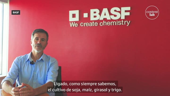Entrevista con Aimar Pena, gerente de marketing de semillas de BASF