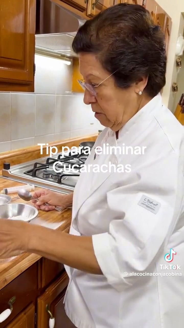 El truco definitivo para eliminar cucarachas