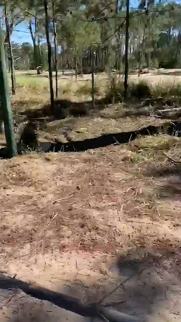 Indencio en el bosque: vecinos de La Herradura denuncian que los autores serían de Pinamar S.A.