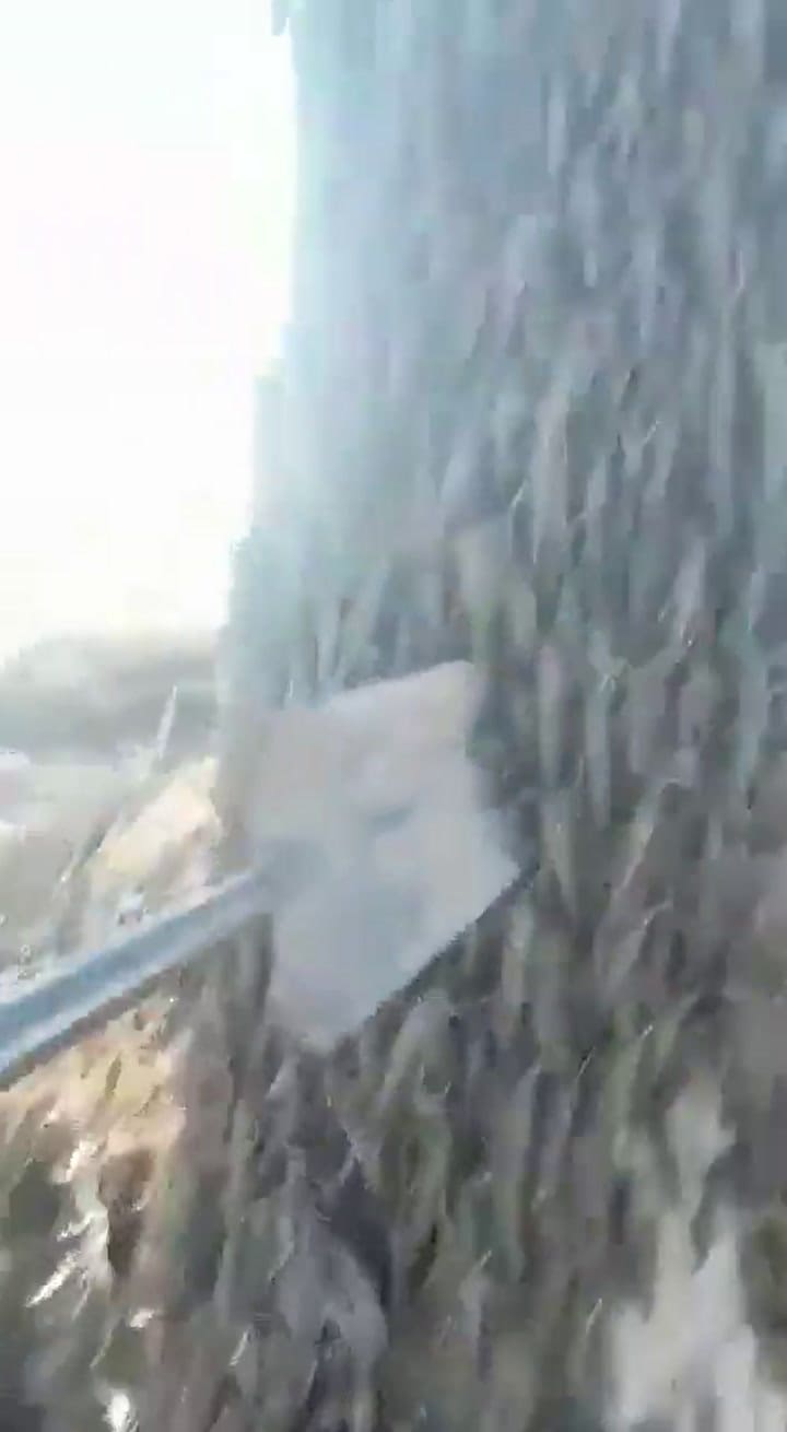 Langostas invaden en Norte argentino