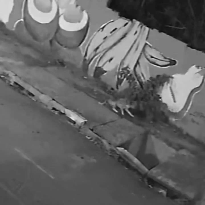 Una mujer cayó adentro de una alcantarilla