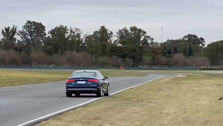 Uno de los ejercicios de frenado en distintas superficies