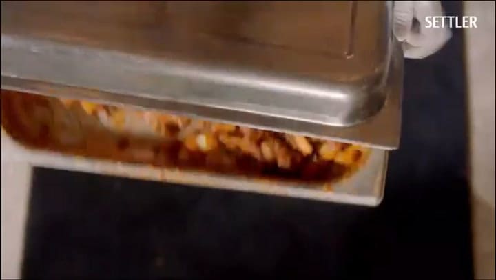 Solterísima - Trailer En Español Netflix