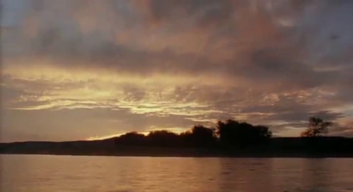 Tráiler de Días del cielo, el film que marcó a Richard Gere