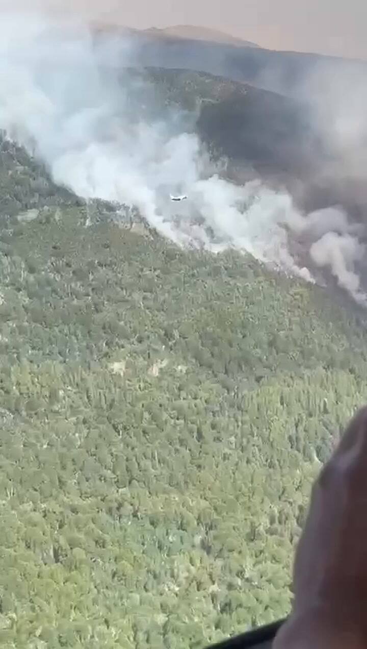 El combate de las llamas en el Parque Nacional Nahuel Huapi