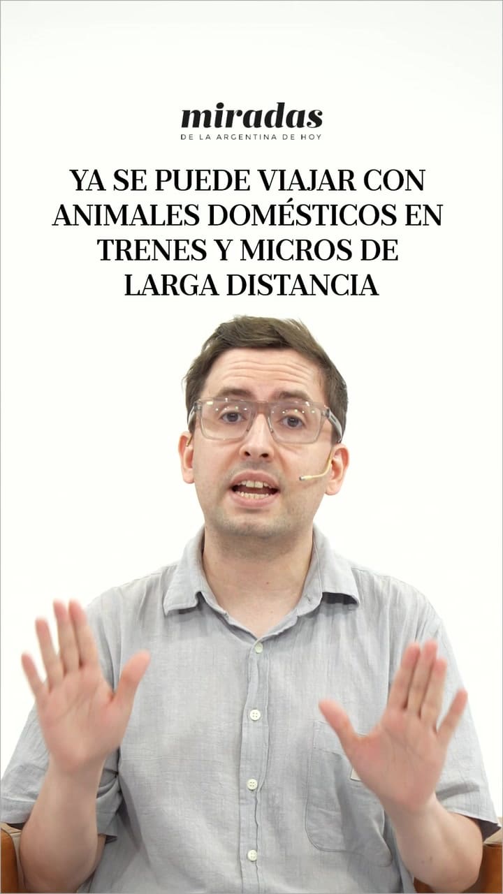 Viajar con mascotas: qué cambia con la nueva norma para micros y trenes de larga distancia