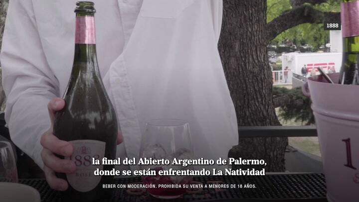 1888 Polo Web V4 Graph1