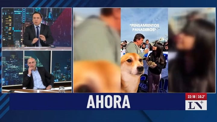 Diana Mondino Cuestionó A Milei. La reacción de la diputada Lemoine.