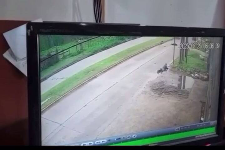 (GIF) Brutal atropello en La Plata