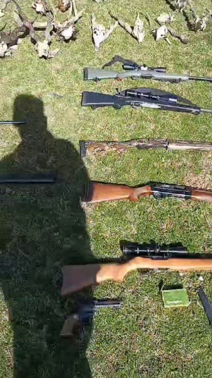 Cazadores furtivos 1