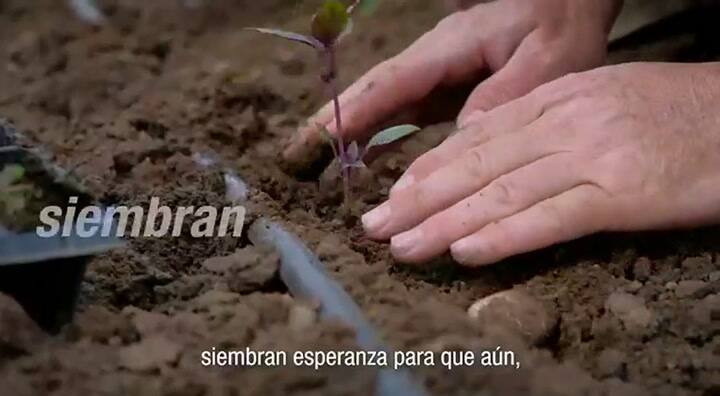 Bayer reconoce la labor del campo