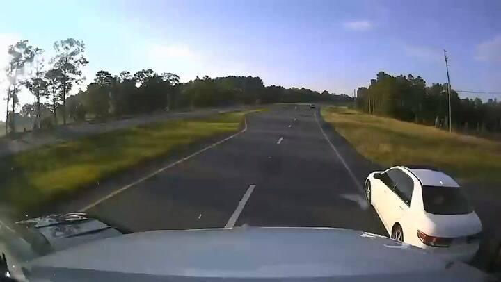 Un conductor quiso evadir a una tortuga, pero causó una aparatosa colisión