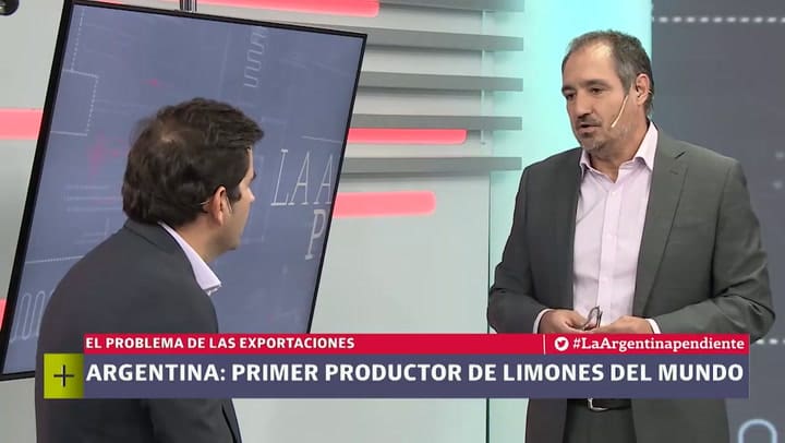 Argentina, primer exportador de limones del mundo