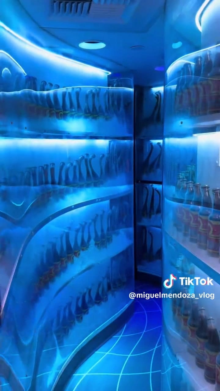 El supermercado "inmersivo" más extraño de EE.UU. (TikTok @miguelmendoza_vlog)