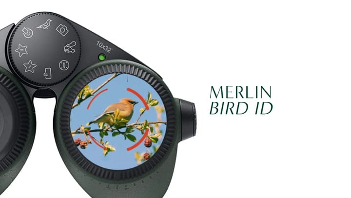 Prismáticos Swarovski Optik Ax Visio con IA