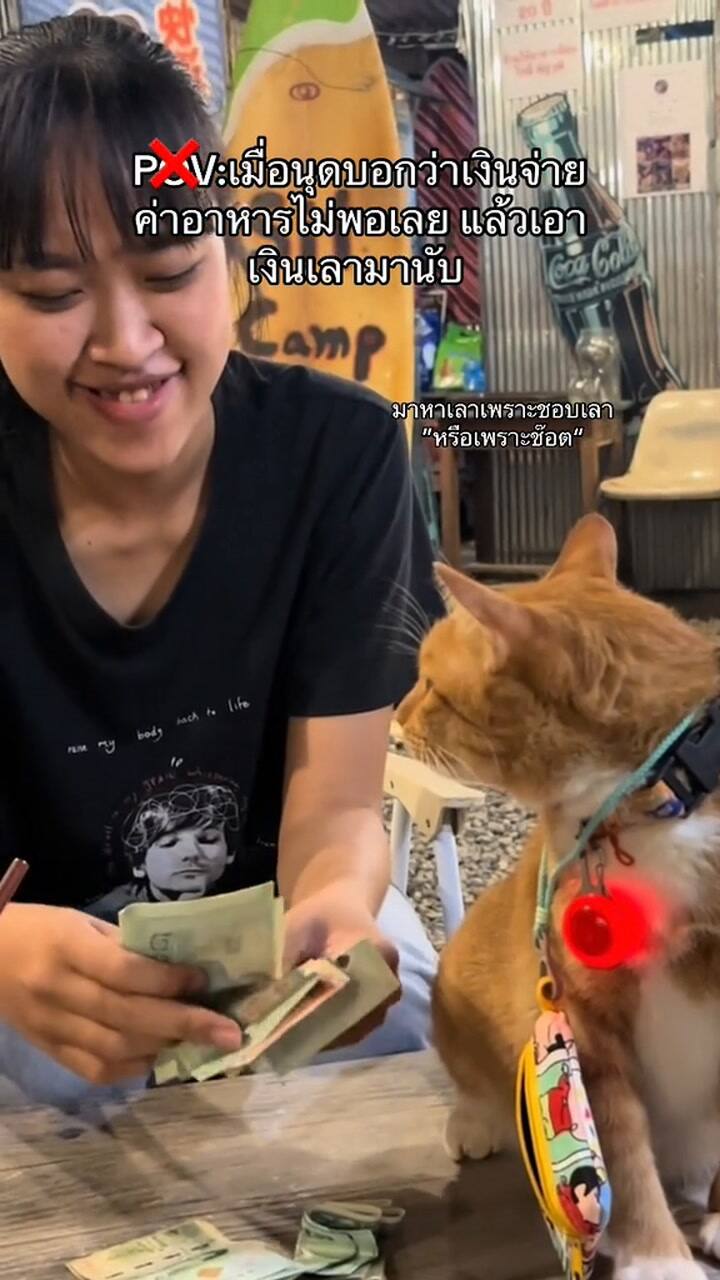 Ssstik.io @Tony Thesleepingcat 1727633772389