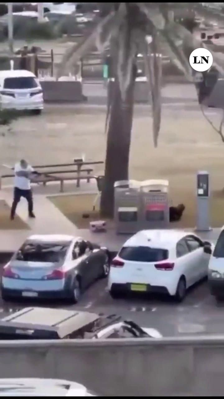 Así fue la heroica acción de un civil que desarmó a un terrorista en Australia