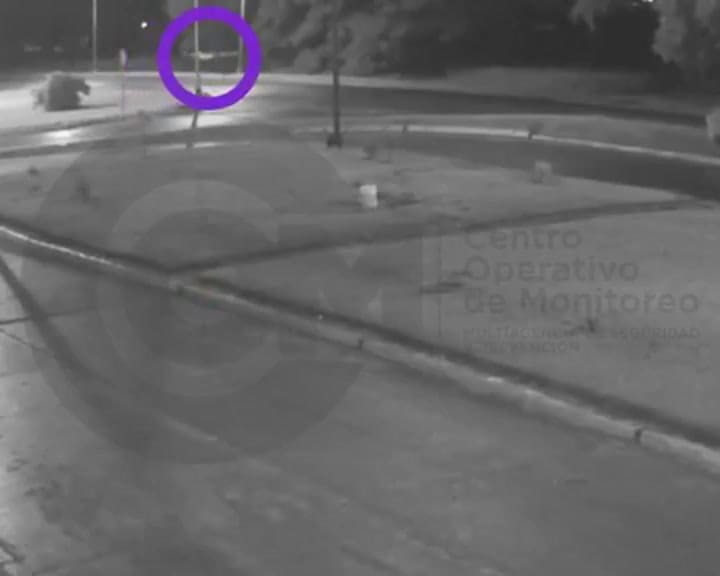 GIF Necochea femicidio