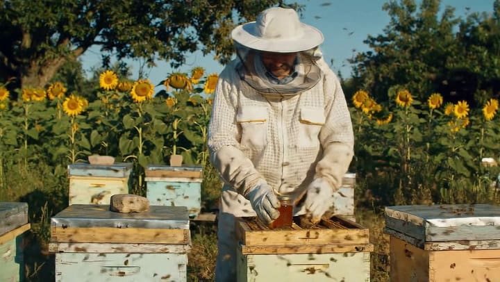 Así funciona Veo 2, el generador de video con IA de Google