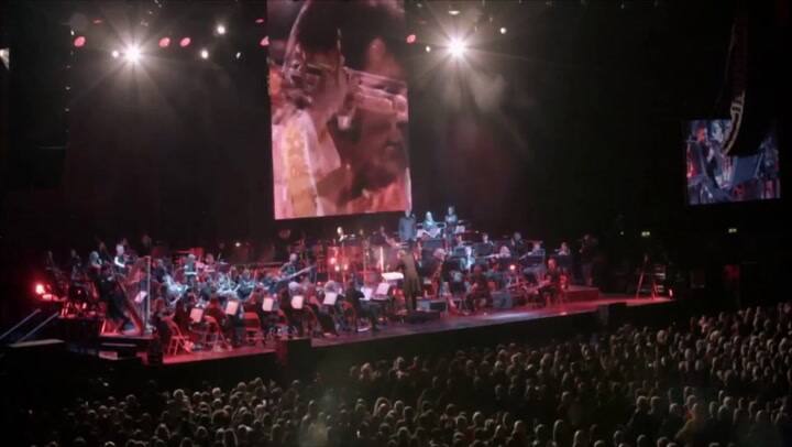 Elvis en vivo en concierto