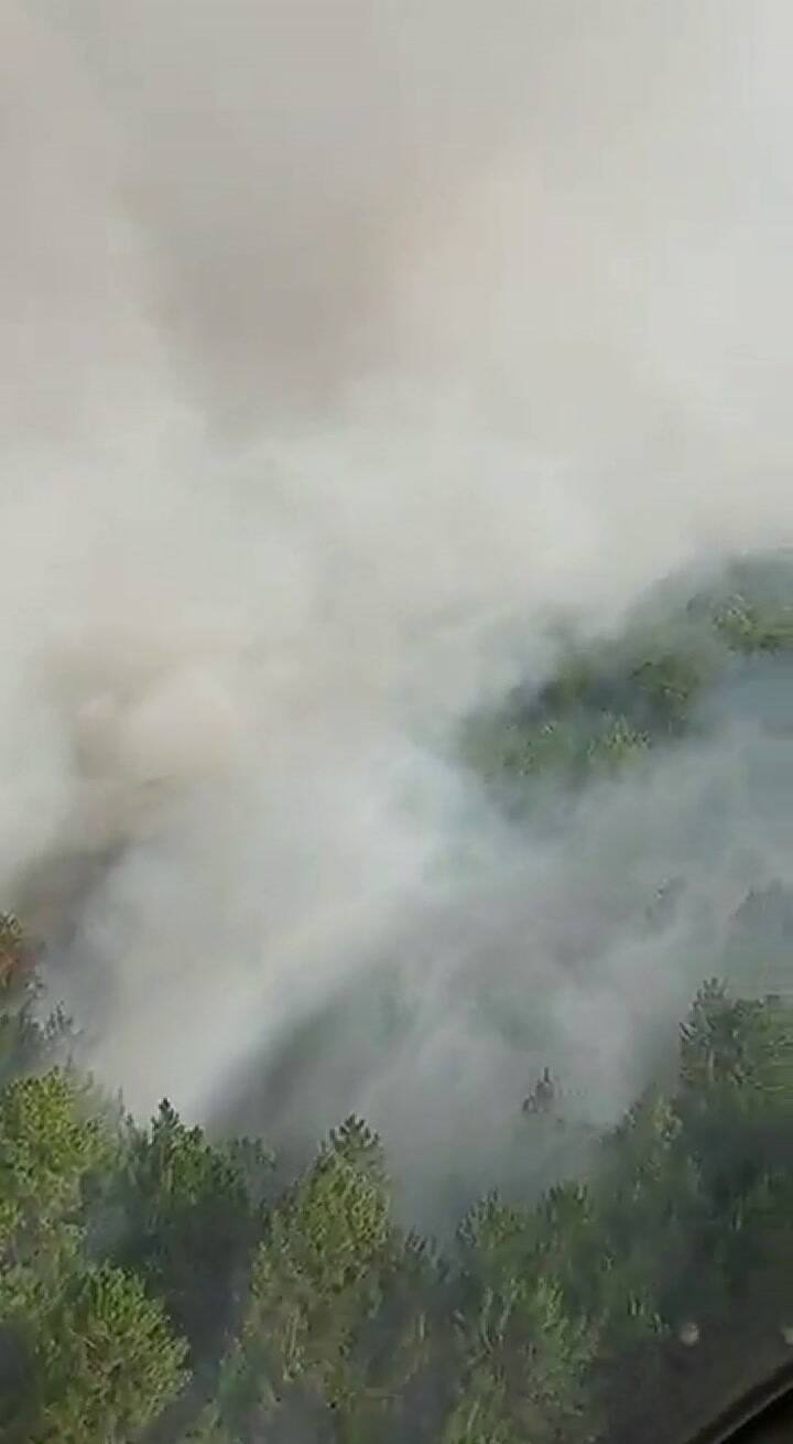 Bomberos y Brigadistas trabajan en la zona del hotel Howard Johnson