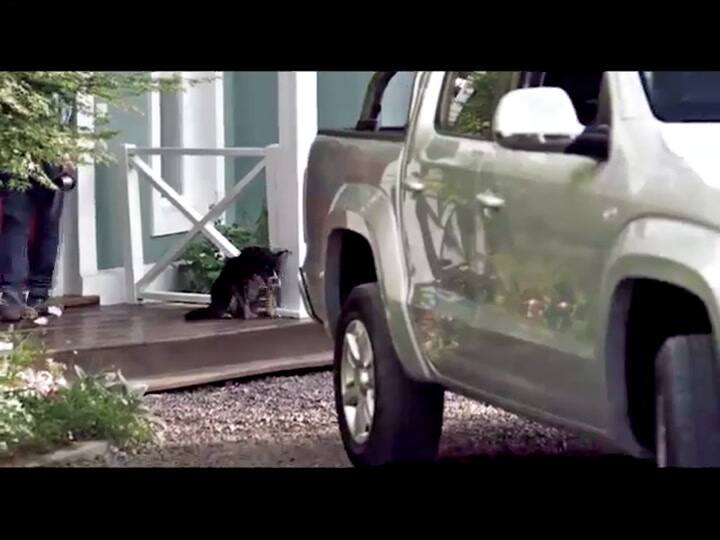 Cómo se fabrica una planta transgénica