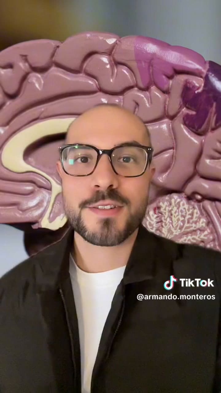 Qué es la dieta MIND y por qué podría ser positiva para tu cerebro