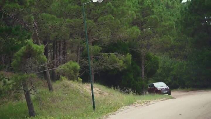 Citroen Pinamar V2 C2