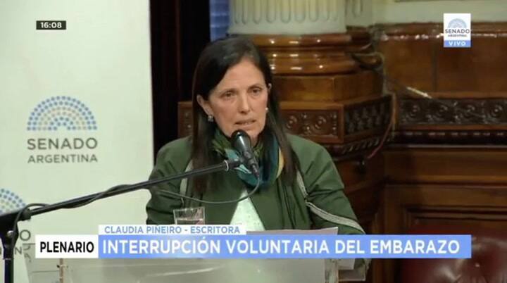 La exposición en el Senado de Claudia Piñeiro a favor de la despenalización del aborto