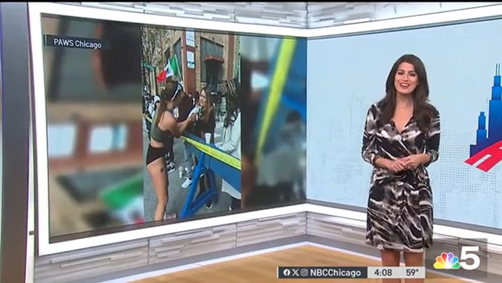 La historia de una maratonista que rescató a un gato en plena carrera