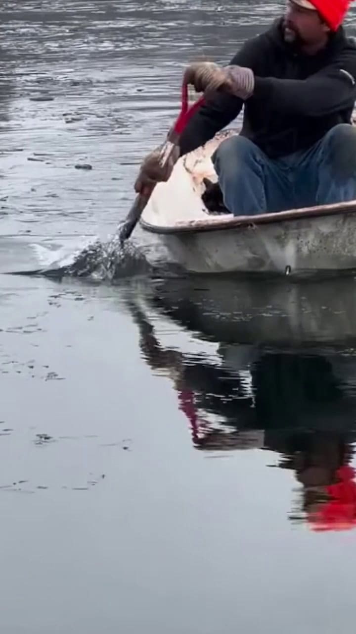 Así rescataban al gato. Fuente: Kayla Seymour vía Facebook